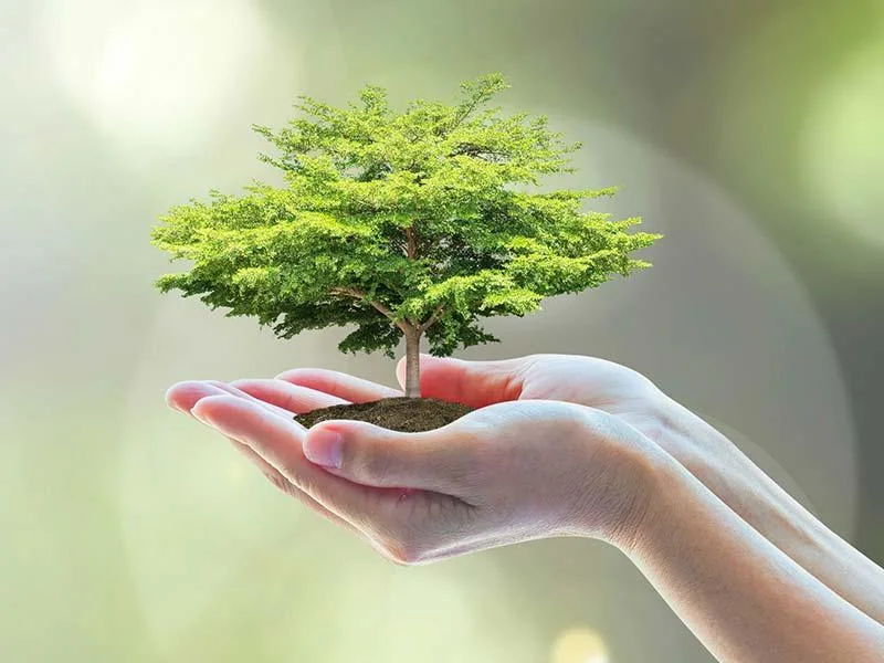Le four utilisé dans le processus de trempage et de séchage des bobines de transformateur de durcissement dans la production de l'industrie des transformateurs 0